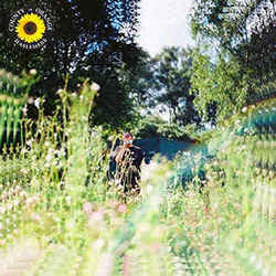 Sunflower Rex Orange County Piano Chords